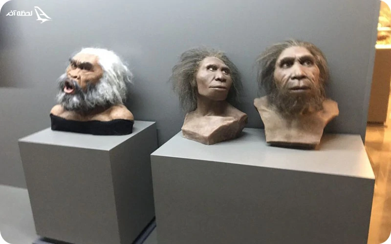 موزه تاریخ؛ آینه‌ای از گذشته پرفرازونشیب گرجستان